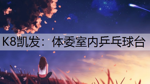 体委室内乒乓球台